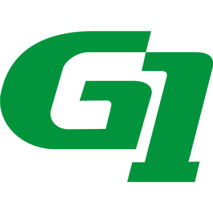 Vollmaske G1
